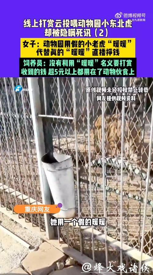 动物园隐瞒网红小老虎死讯,用录屏冒充直播欺骗粉丝打赏!多部门介入调查 动物园隐瞒网红小老虎死讯,用录屏冒充直播欺骗粉丝打赏!多部门介入调查